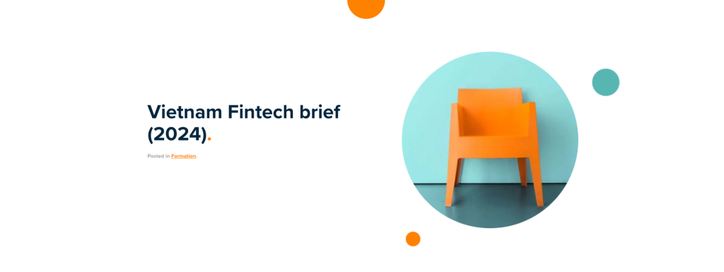 VFM-Vietnam Fintech brief (2024)